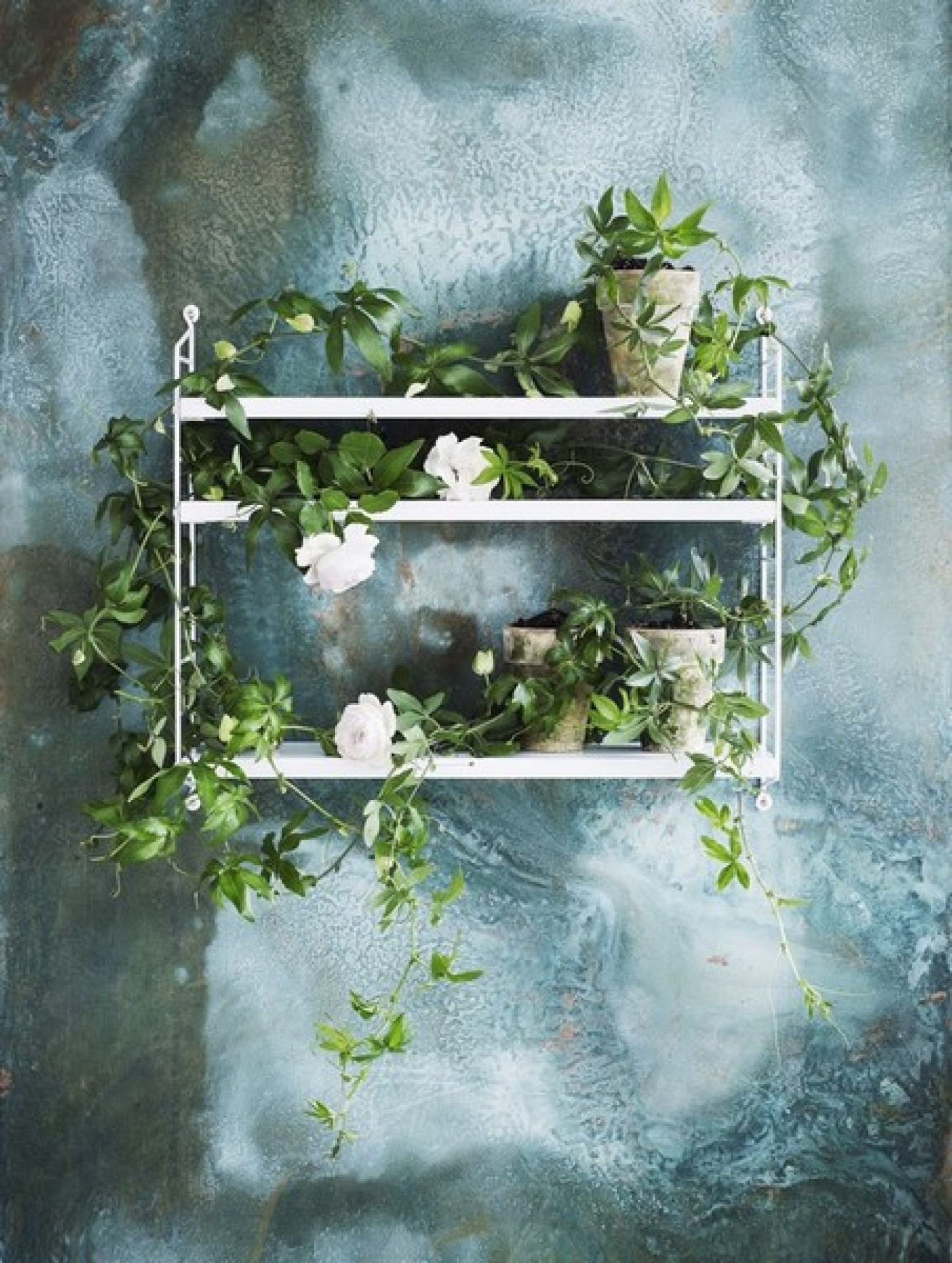 String Pocket Shelf String Furniture Grey - Grey 
