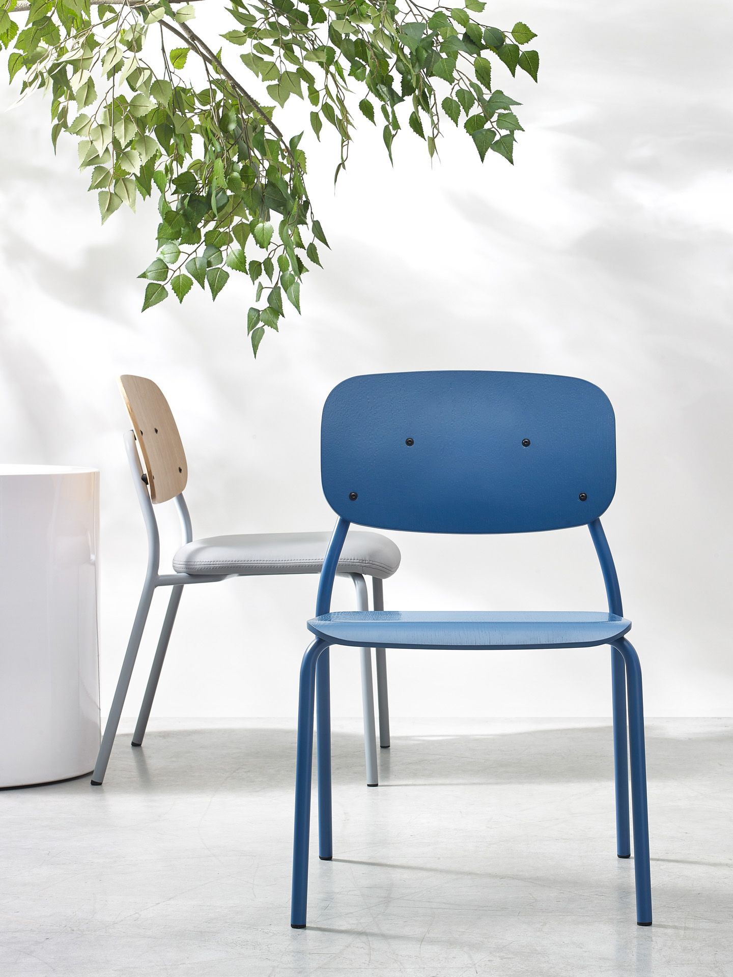 hens HS 215 chair / conference chair Bejot