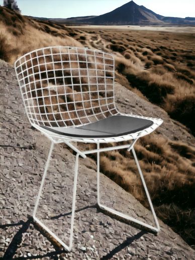 Bertoia chair OUTDOOR Knoll International Quick-Ship