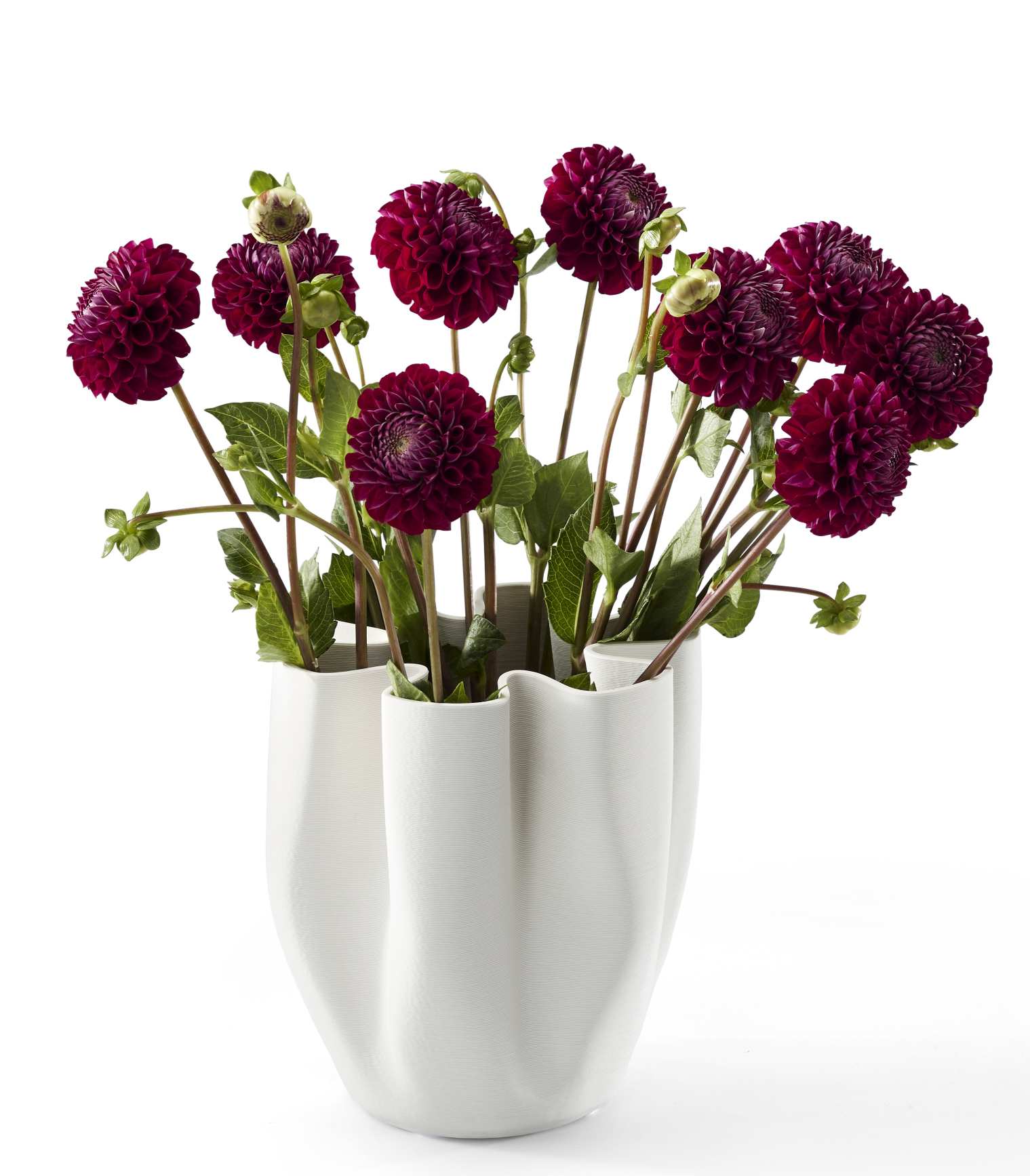 Livree vase Philippi