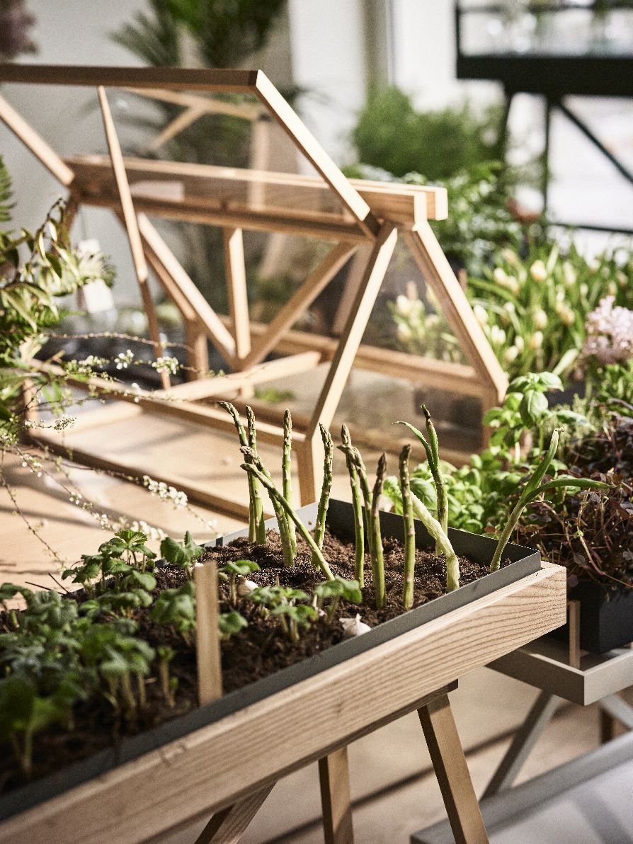 Greenhouse Greenhouse Design House Stockholm Dark ash