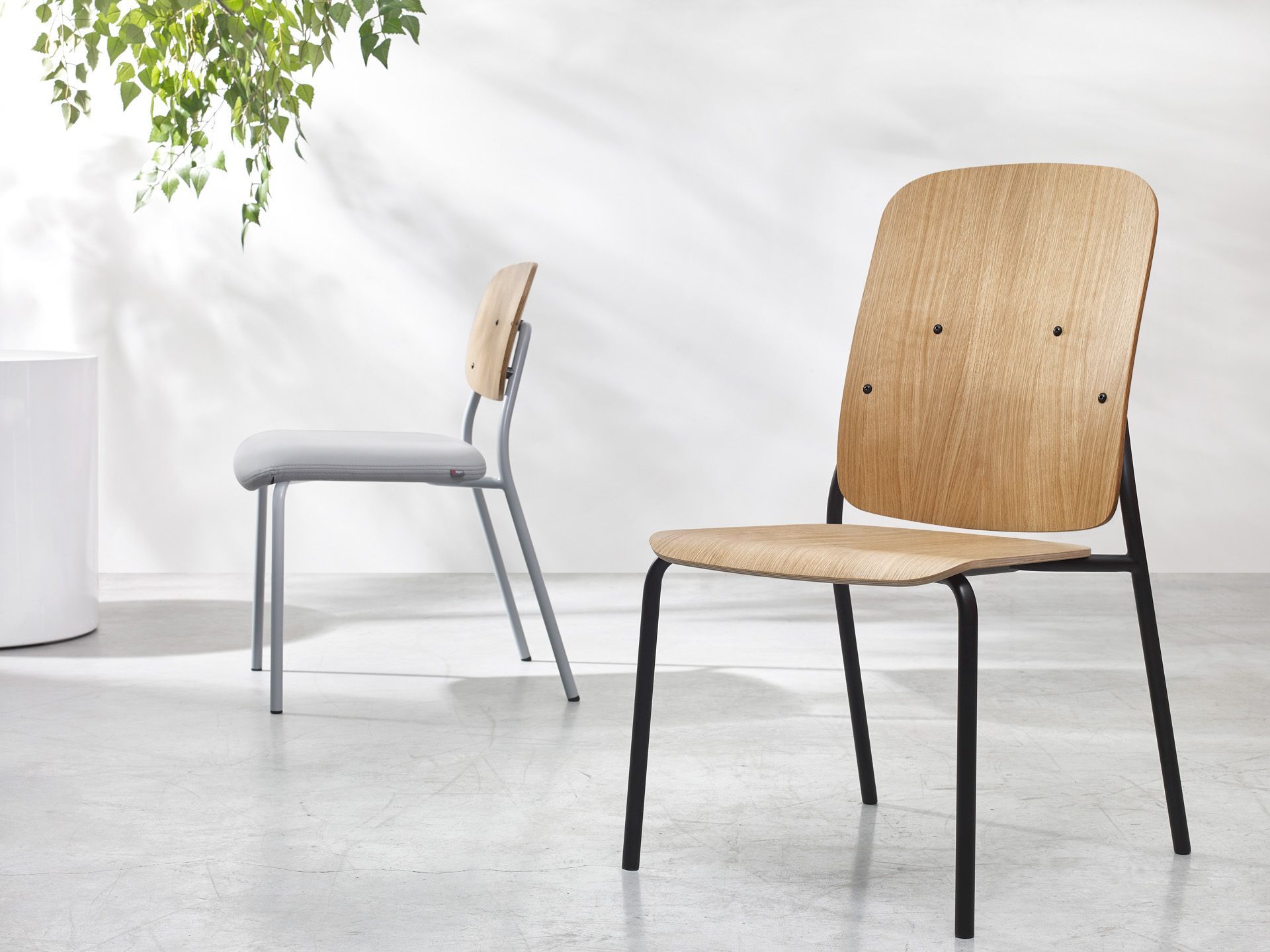 hens HS 215 chair / conference chair Bejot