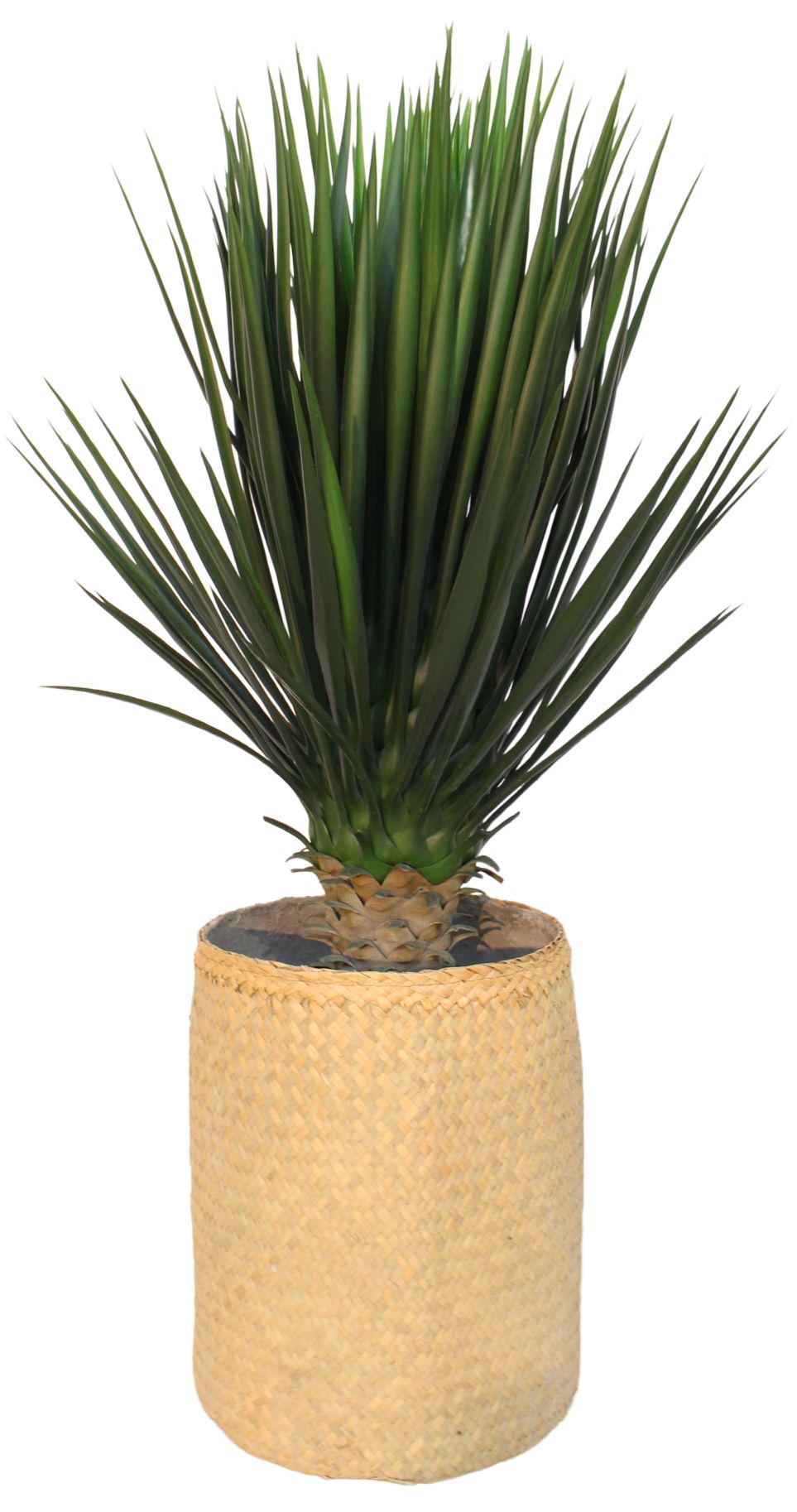 Nairobie Zamia Artificial Plant Tanaman SINGLE PIECES