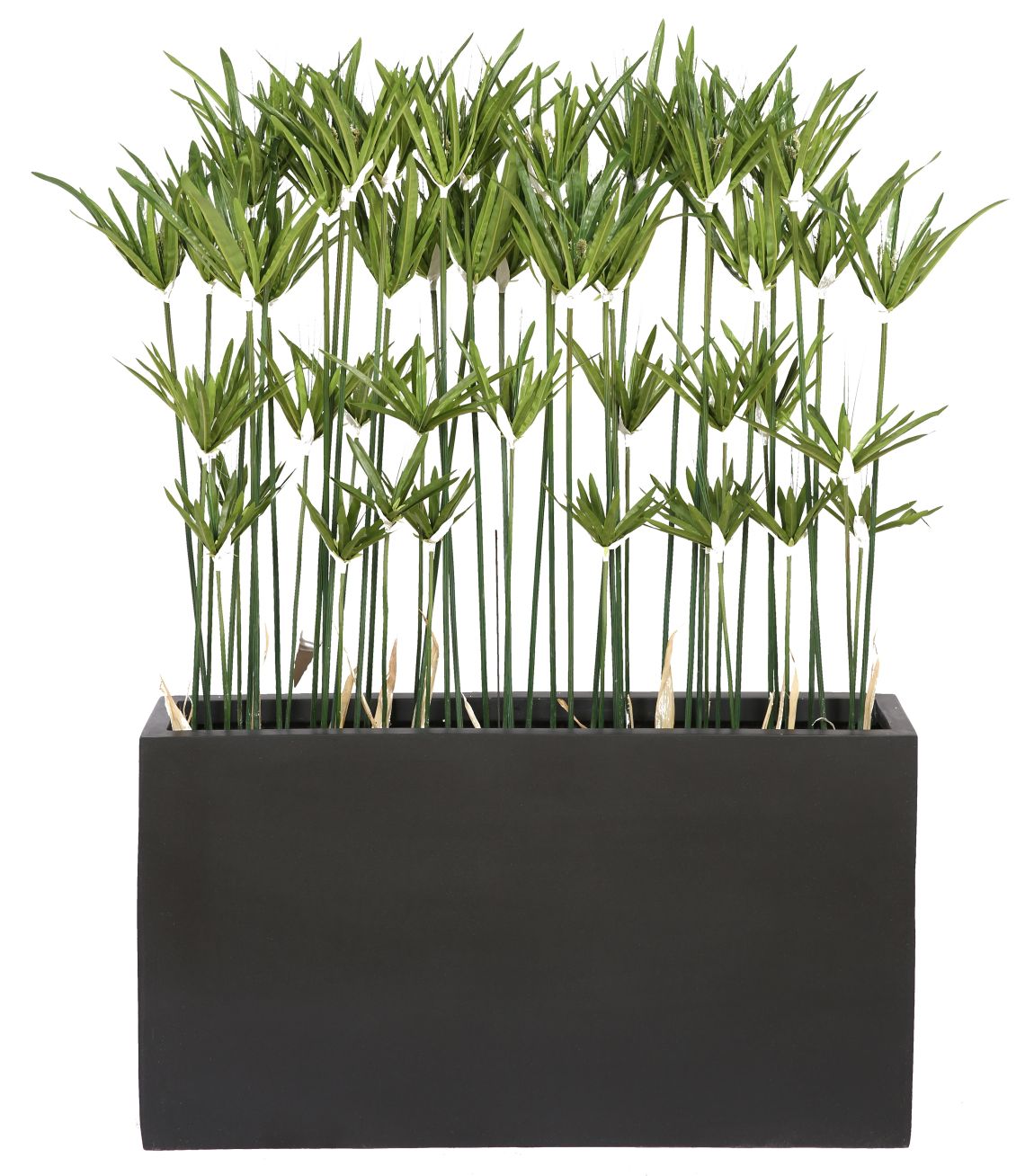 Kyoto Paapyrus Artificial Plant Tanaman 