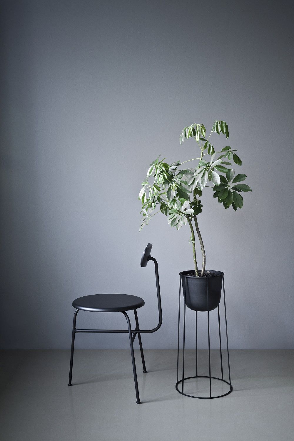 Schwarzer Afteroom Dining Chair Stuhl von Audo Copenhagen neben einer Zimmerpflanze im minimalistischen, modernen Design.