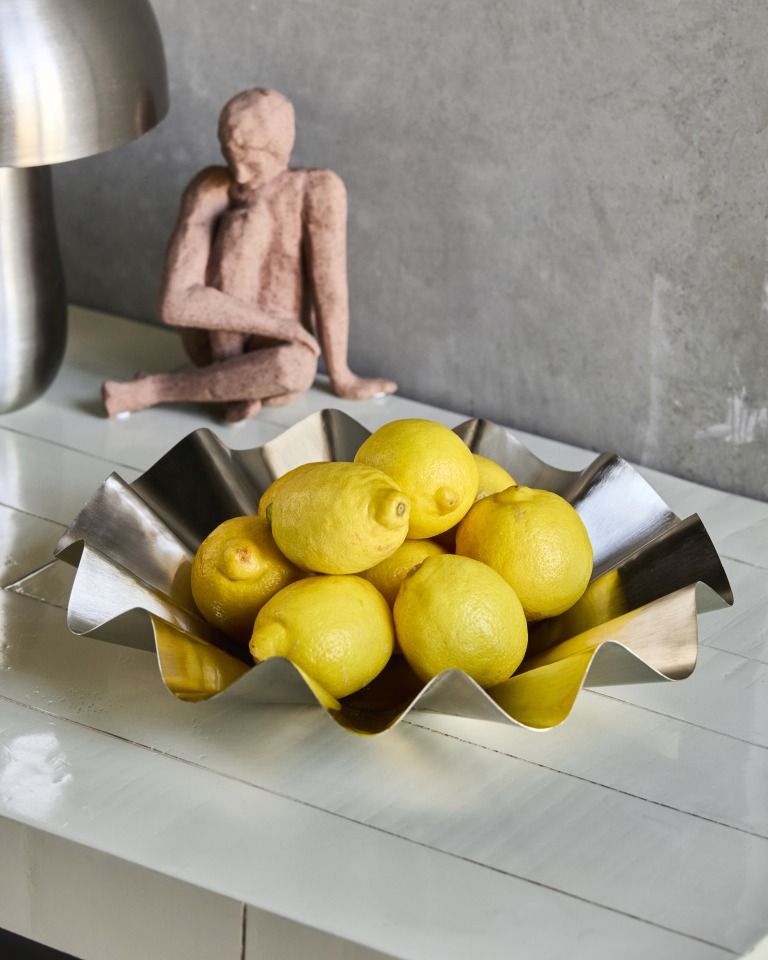 Bowl HDFlood Brushed silver finish house doctor  