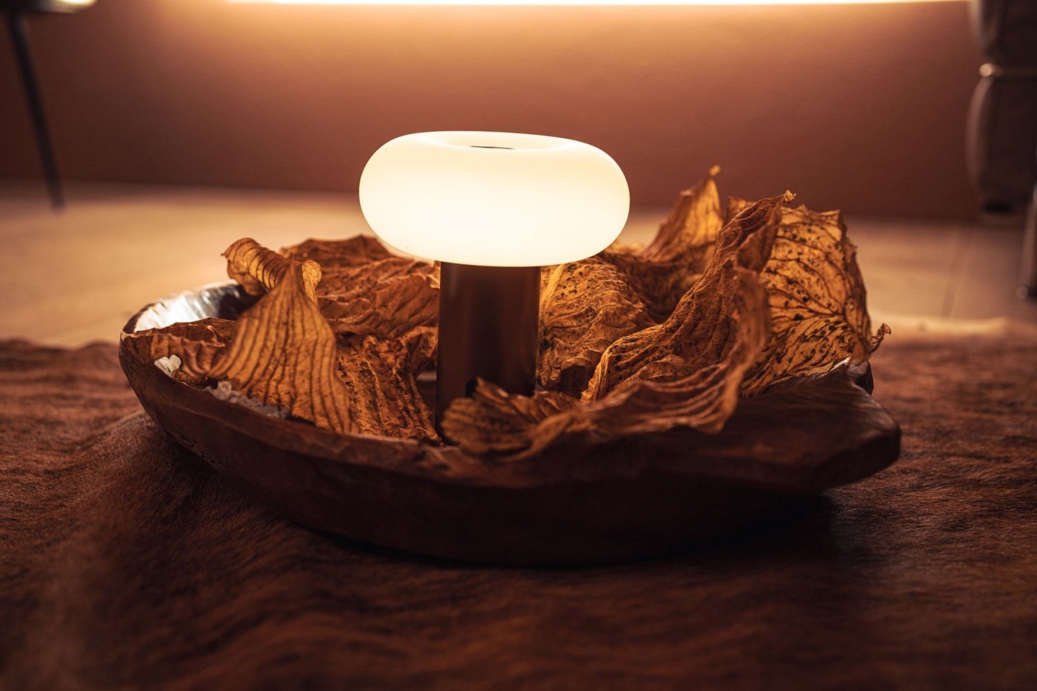 Oto Portable Rechargeable lamp / Table Lamp Belux