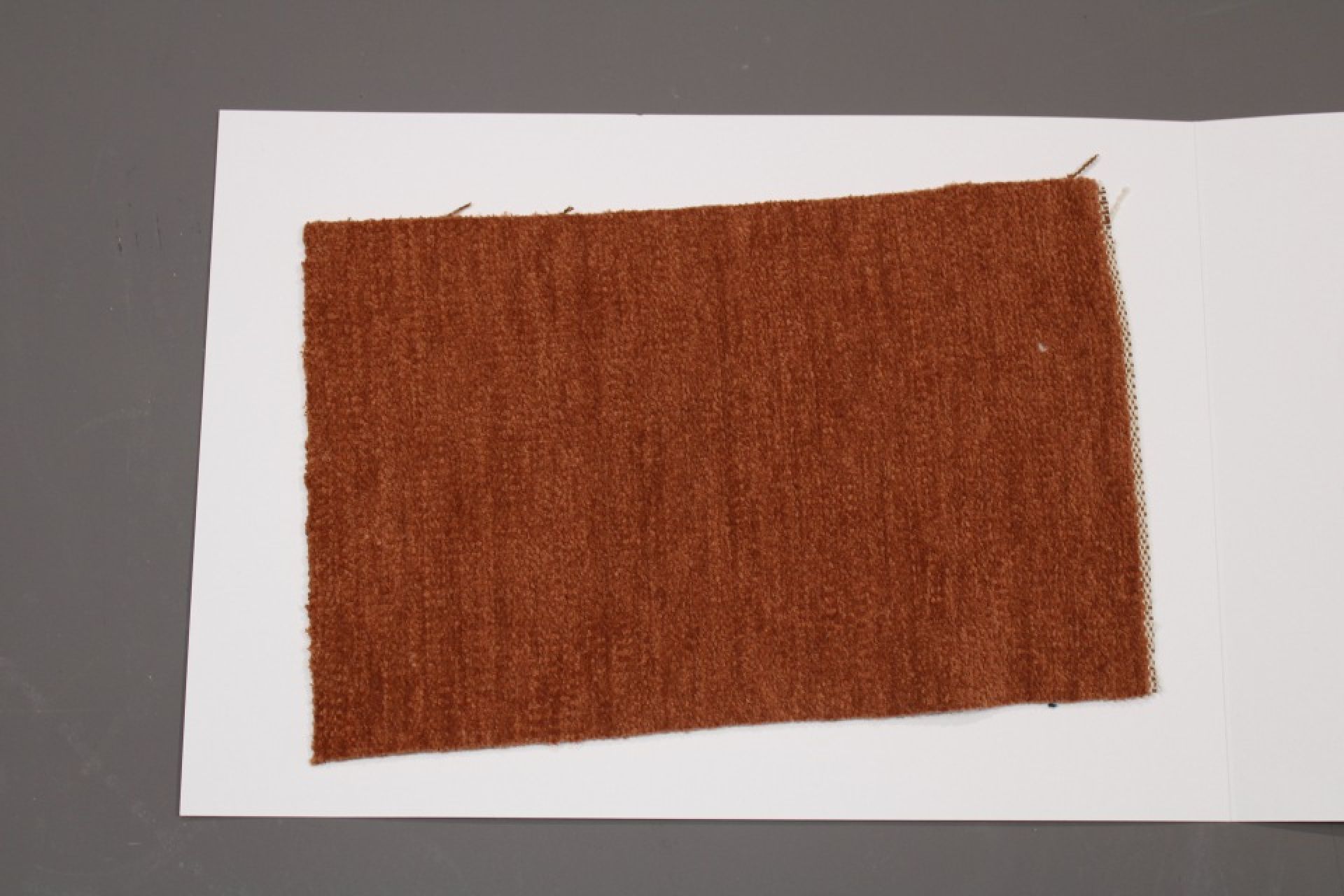 Fabric Sample Card Group 81 Cor