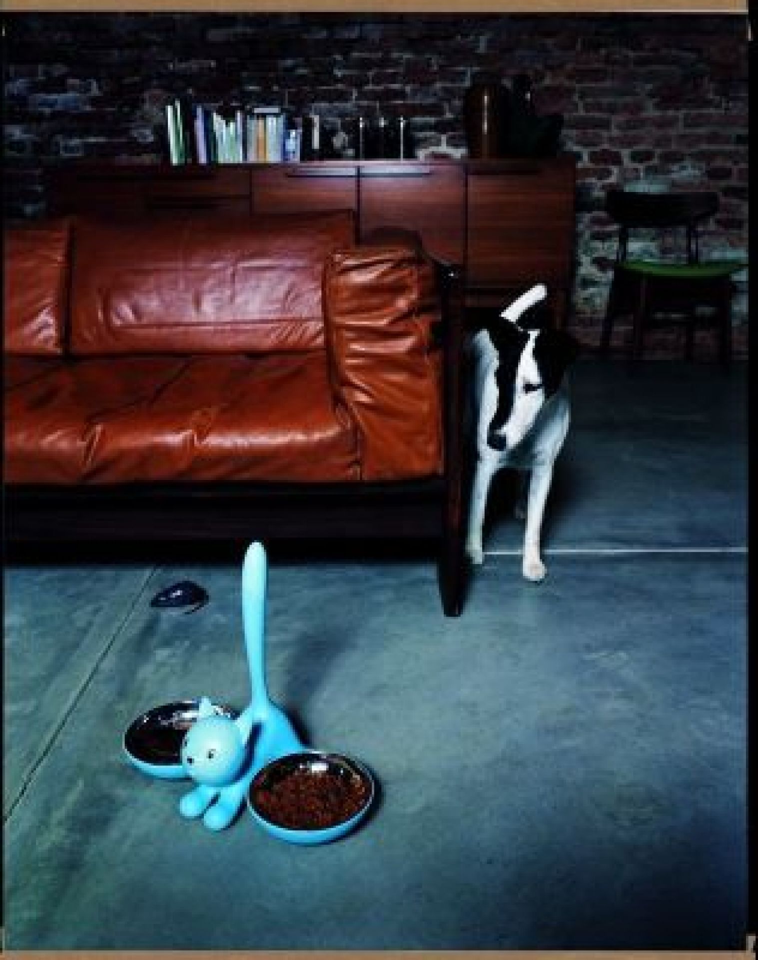 AMMI09 Tigrito cat bowl Alessi 