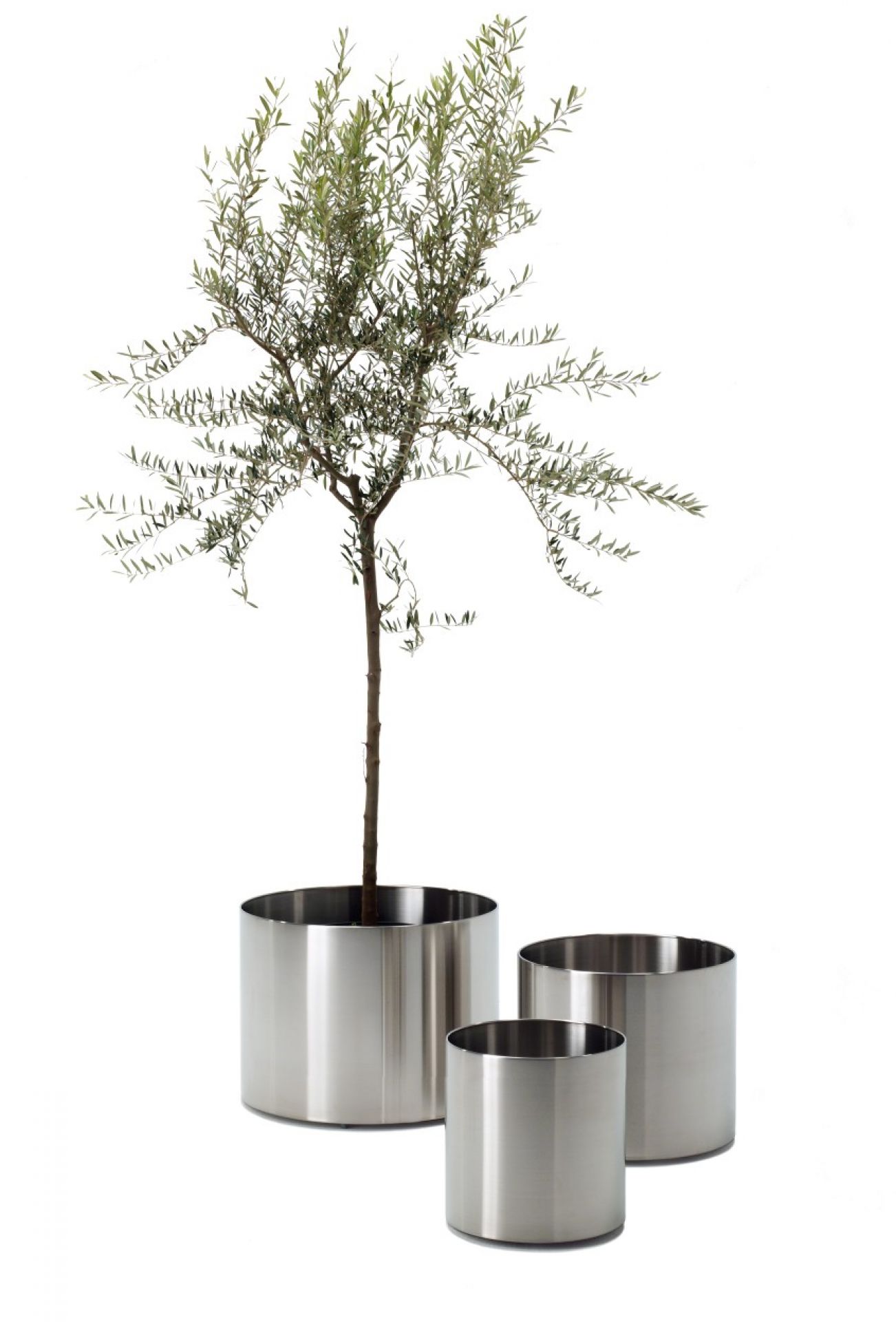 Nox Flora Flowerpot on castors Rexite
