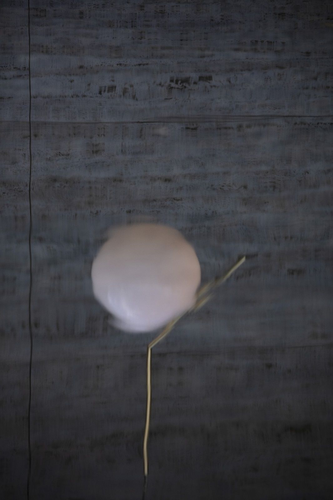 IC S2 Pendant lamp 24K Gold LIMITED EDITION Flos