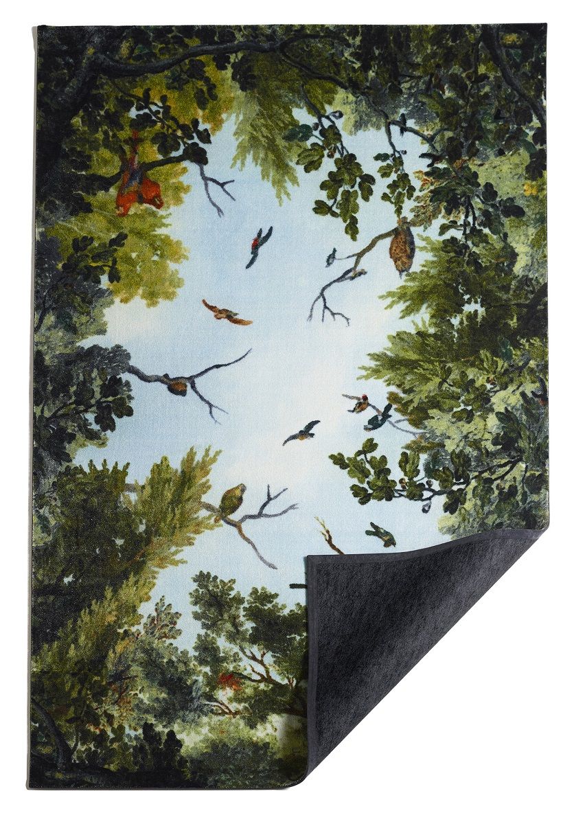 Cielo / Terra Carpet Opinion Ciatti