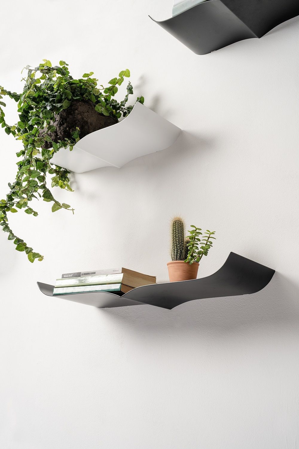 Nori Wall shelf Opinion Ciatti 