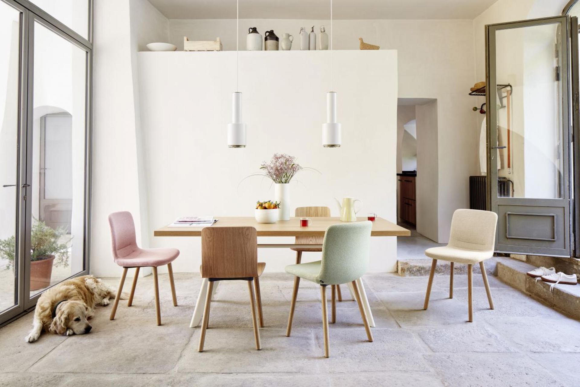 Vitra Hal Wood Stühle in verschiedenen Farben um einen Holztisch, helle, freundliche Atmosphäre.