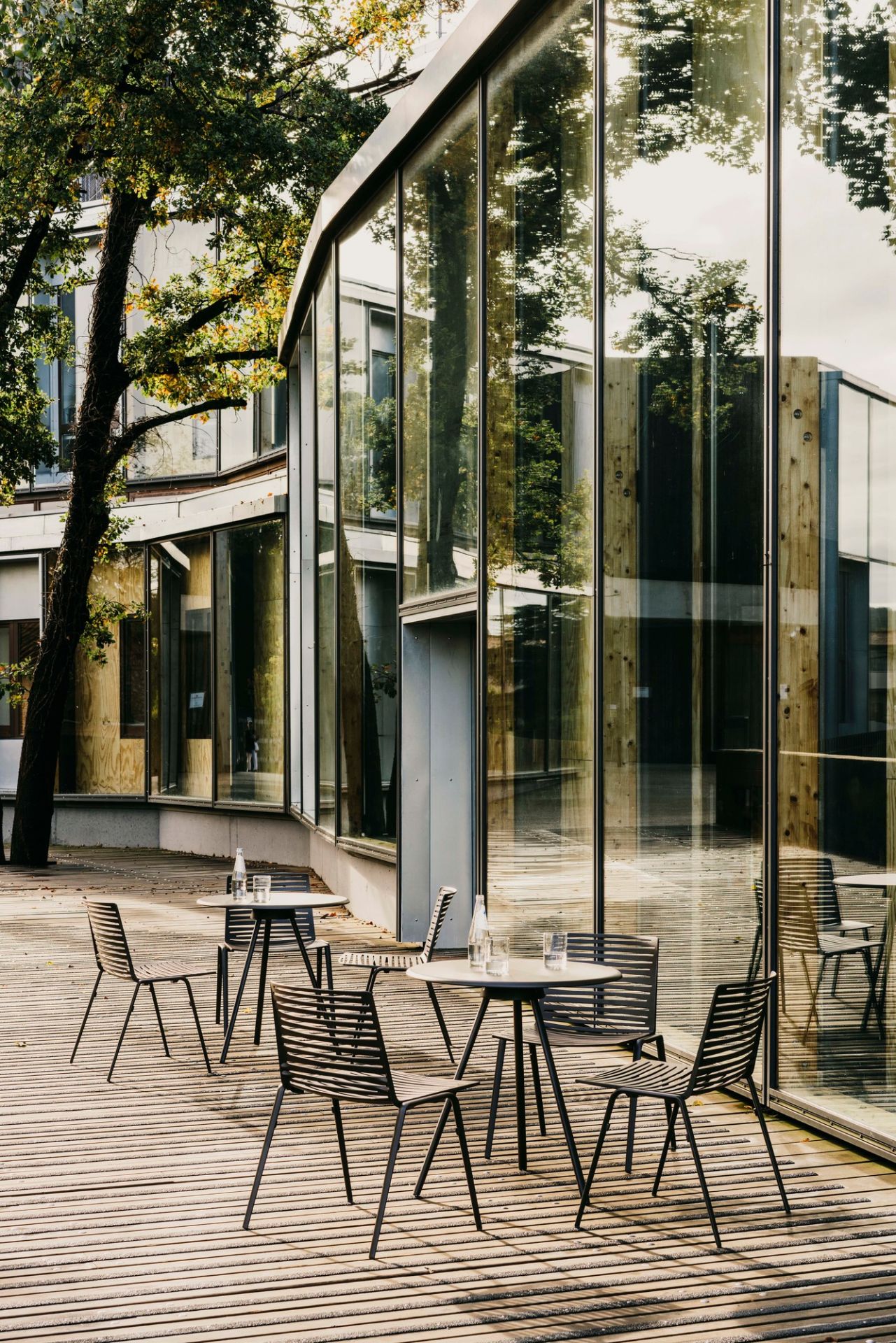 Zebra Outdoor chair Fast