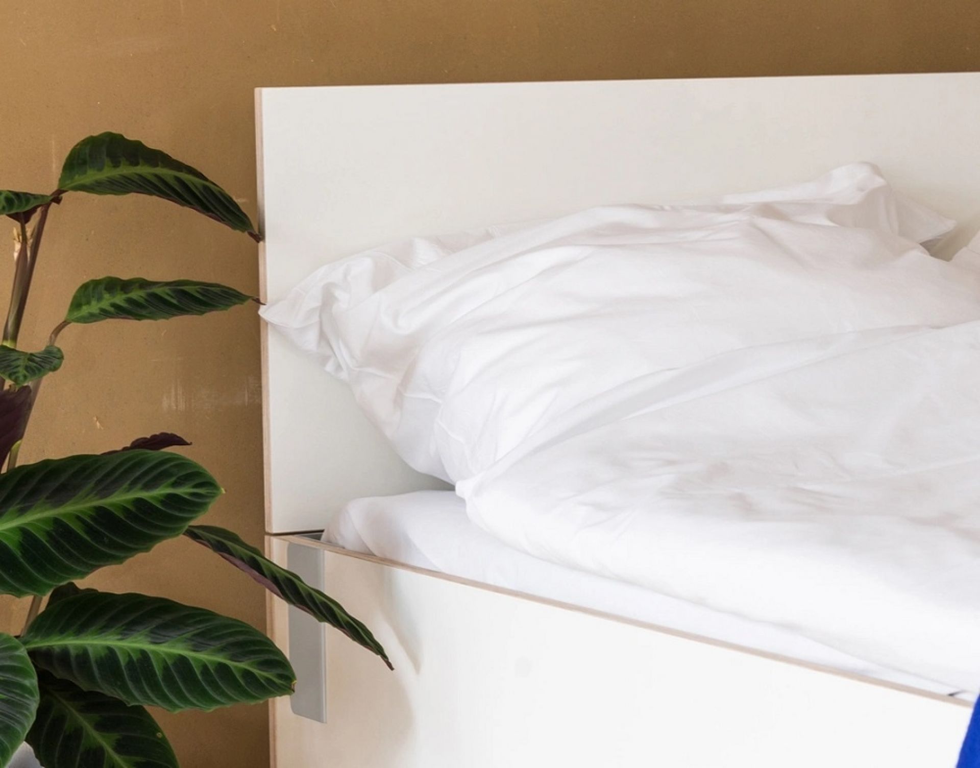 Tagedieb Headboard for Bed Nils Holger Moormann