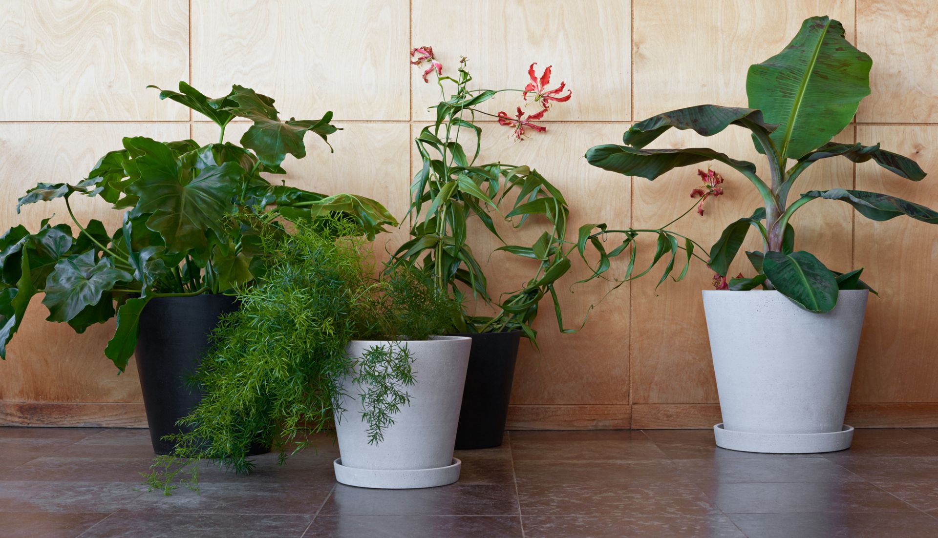 Flowerpot with saucer XXXL Hay