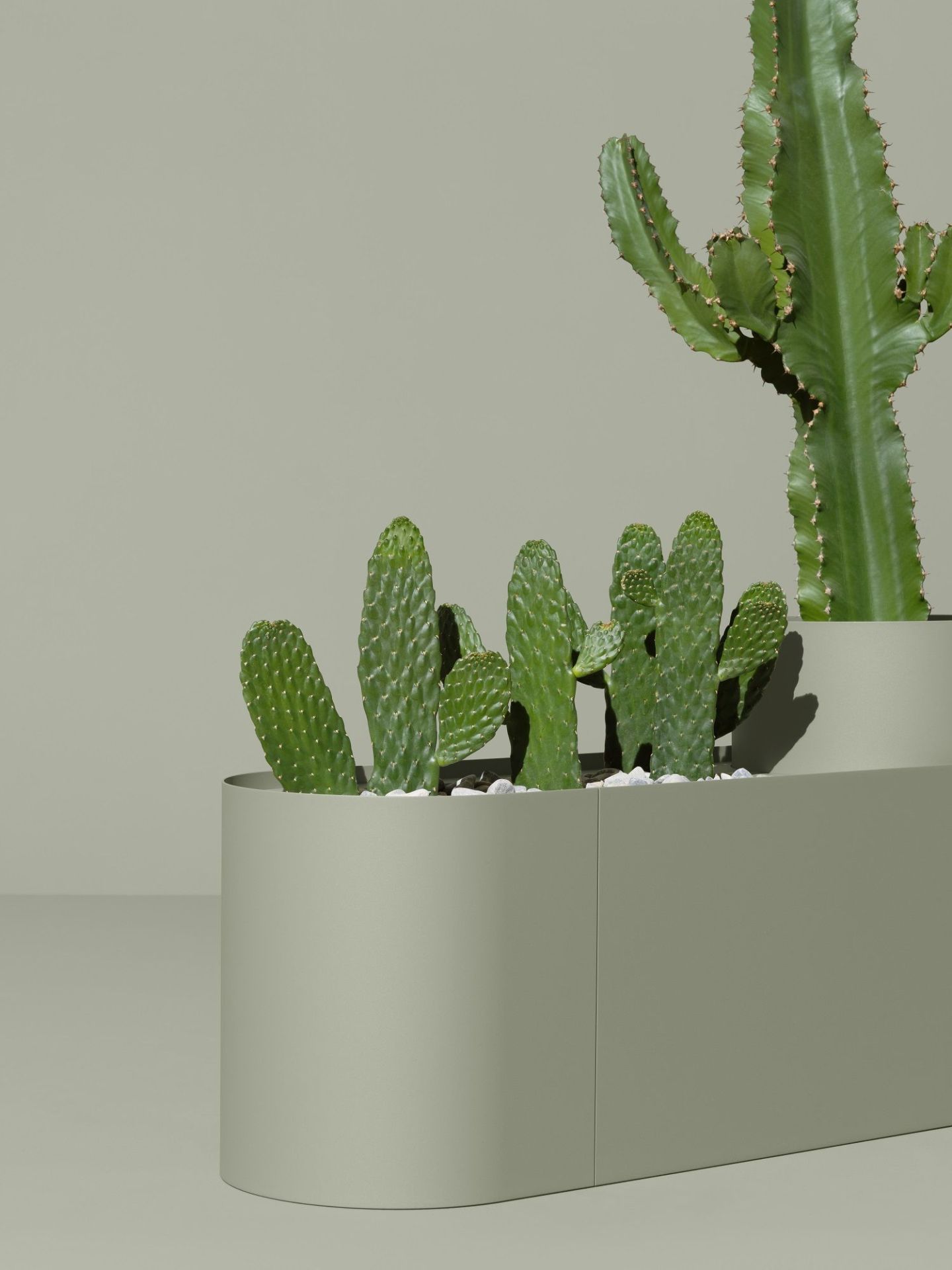 Plant Here plant box / flower pot Mizetto QUICK SHIP