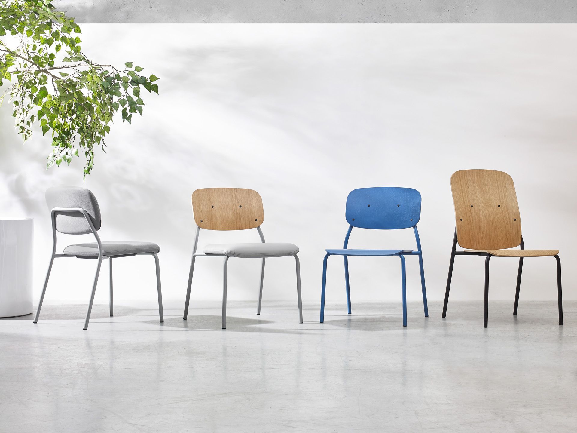 hens HS 215 chair / conference chair Bejot