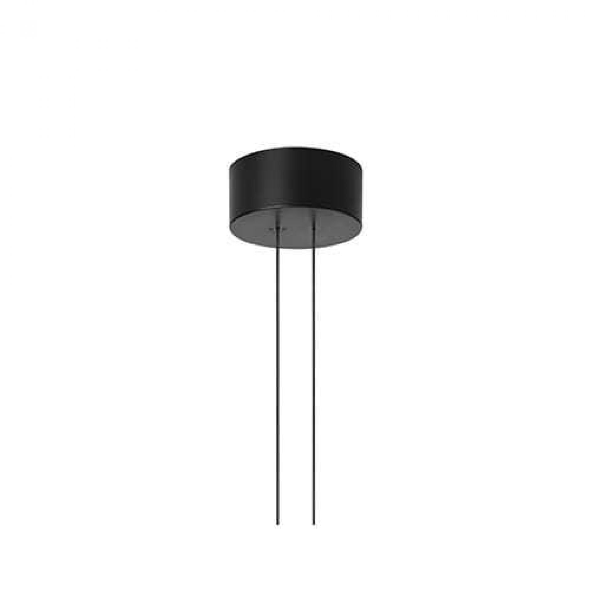 Rose for Arrangements Pendant Light Flos