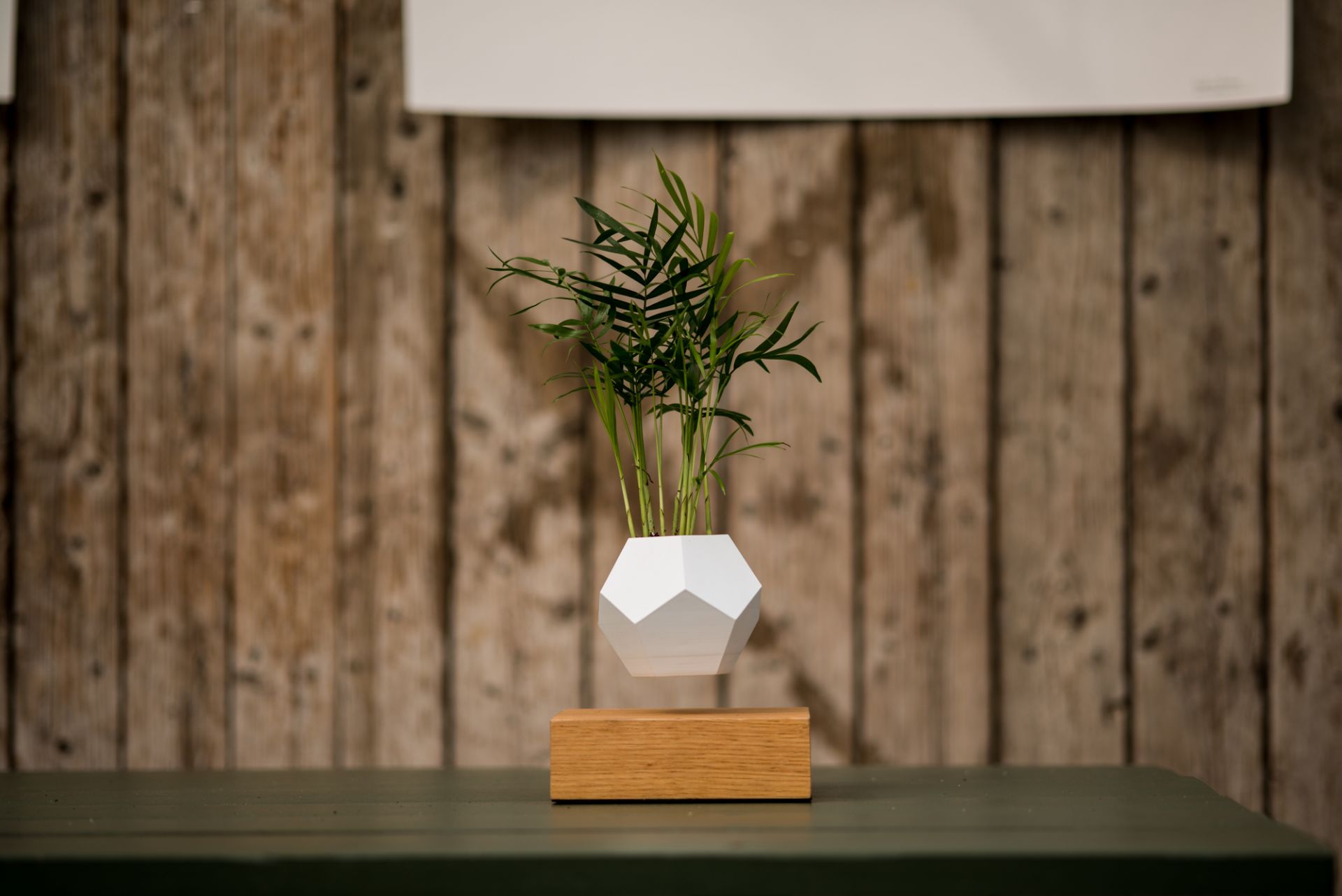 Lyfe Floating Vase FOOT AHRON BLACK / POT WHITE Klein & More SINGLE PIECES