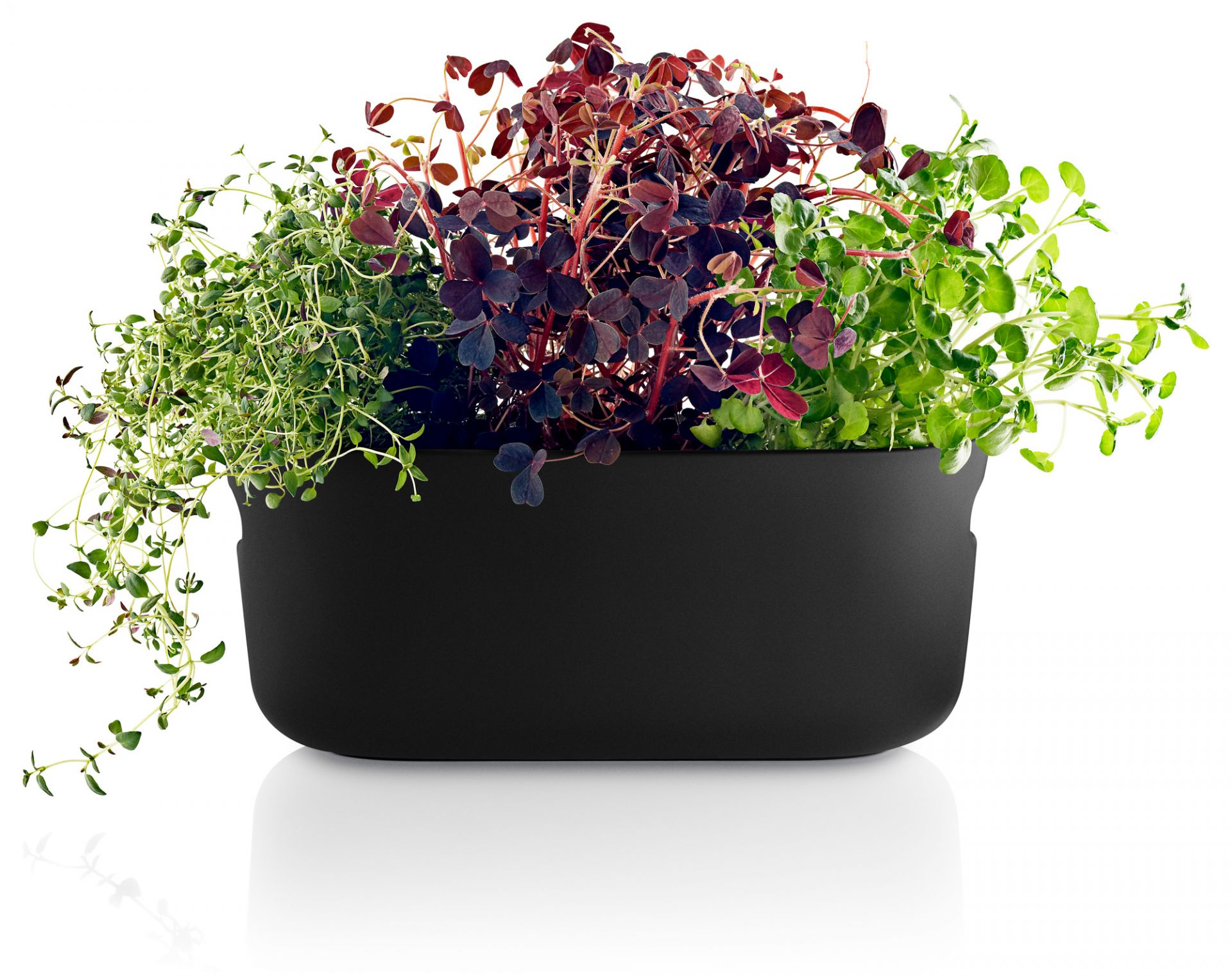 Self-watering herb organiser Eva Solo SINGLE PIECE