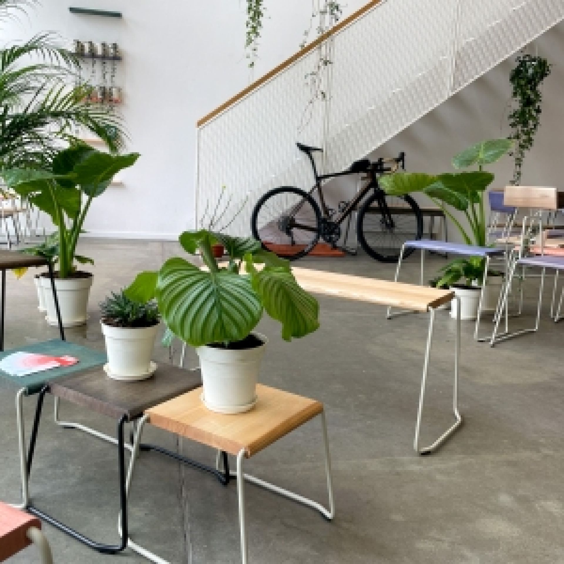 D:002 Side Table Melon Fuchs & Habicht
