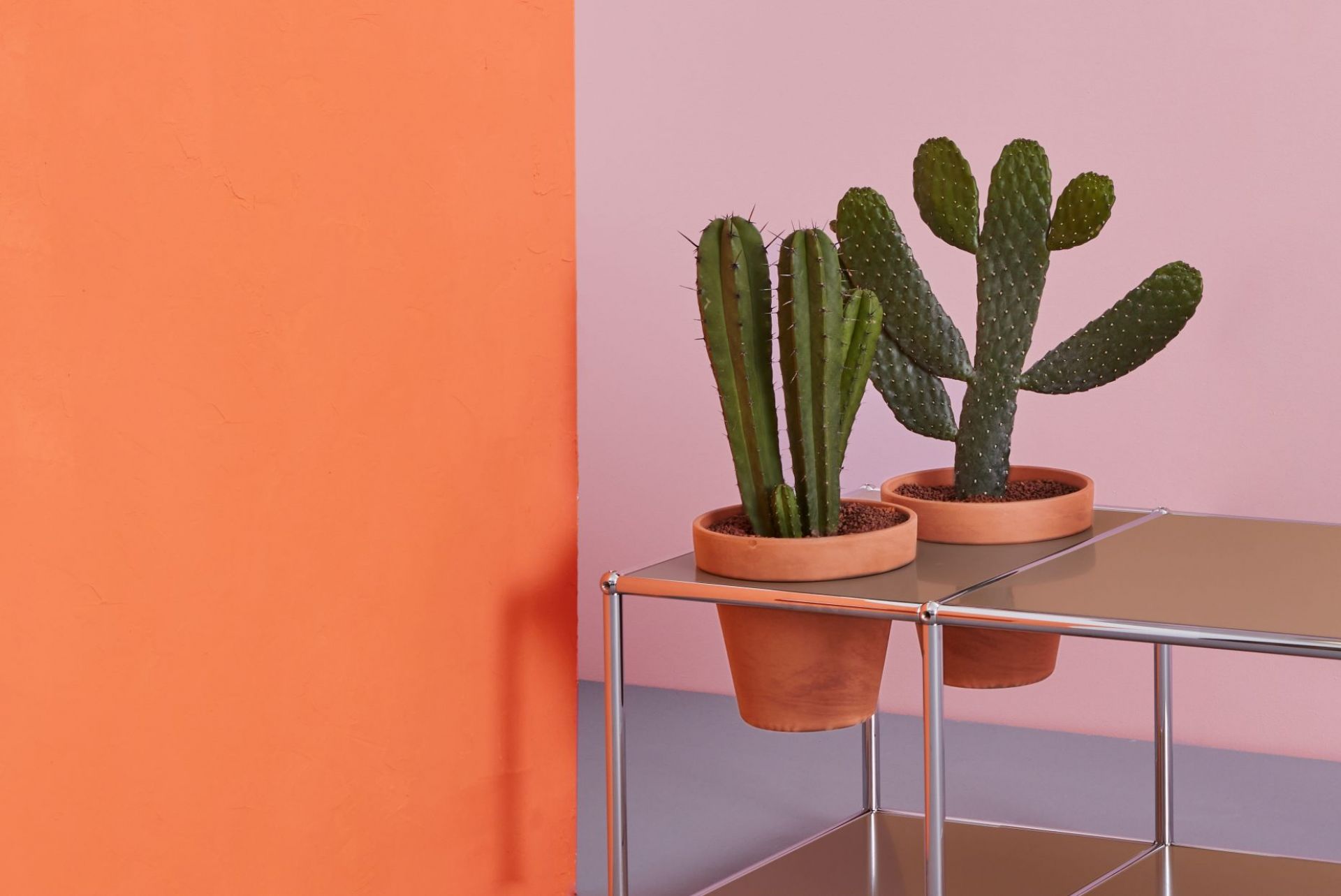 Plant worlds Side table USM Haller