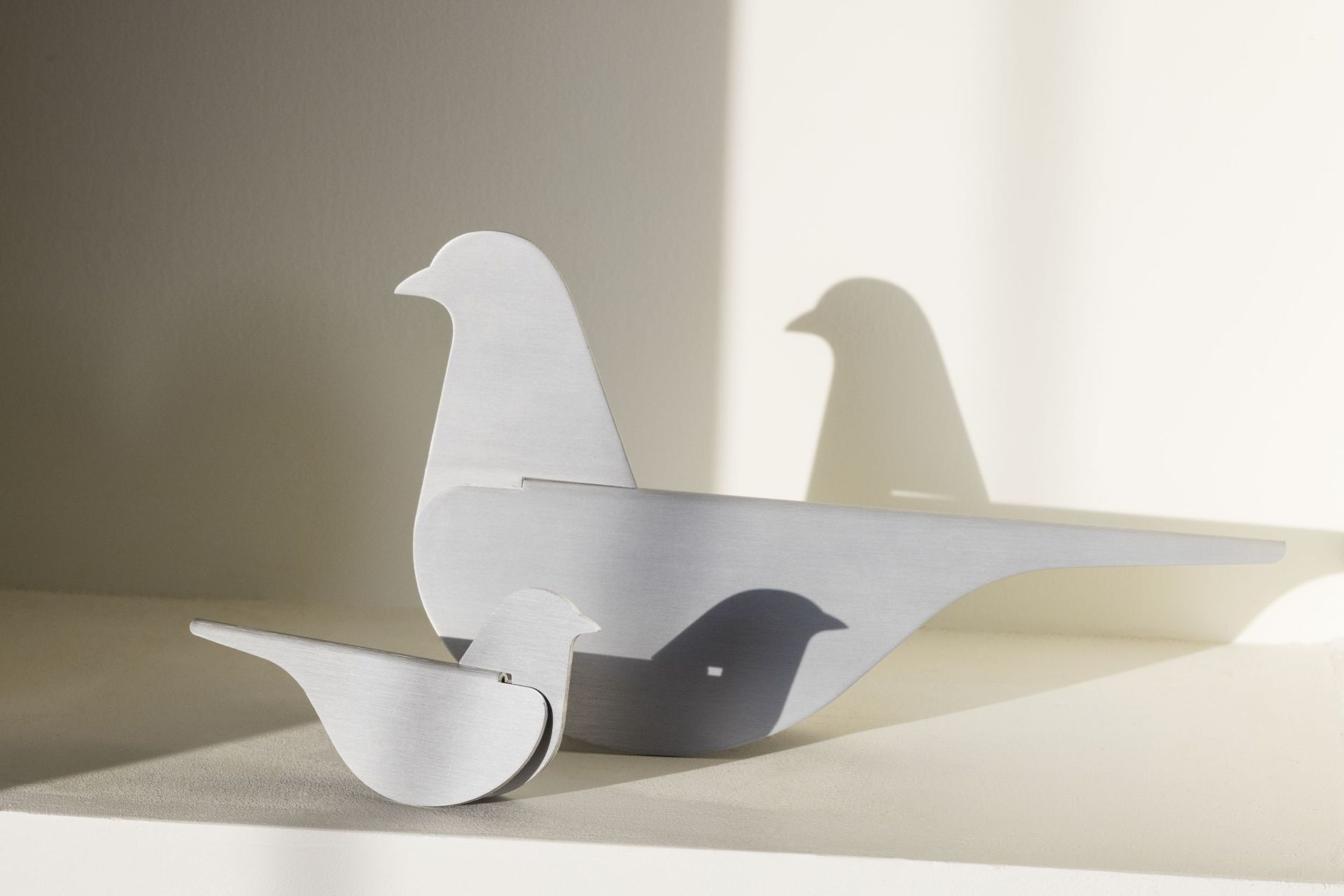 Birds Pigeon Emeco