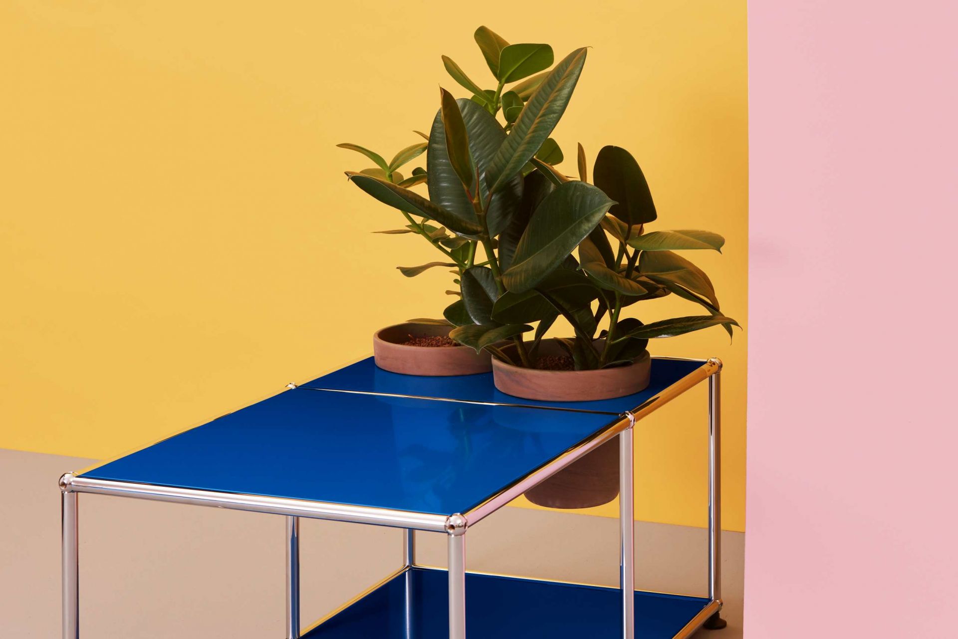 Plant worlds Side table USM Haller