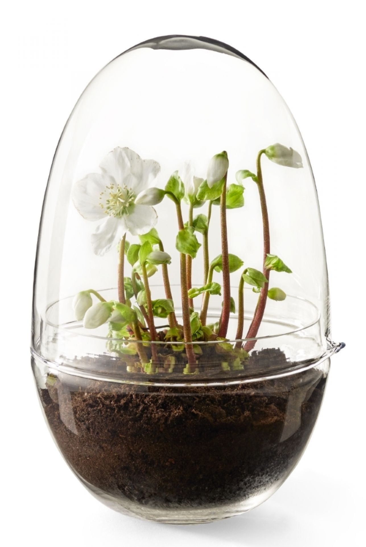 Grow XL green house Design House Stockholm