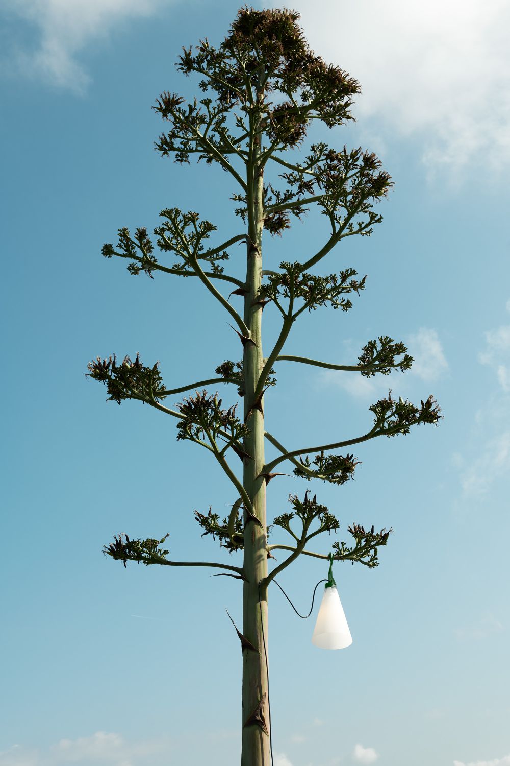 May Day / Mayday Multipurpose Light Outdoor Flos