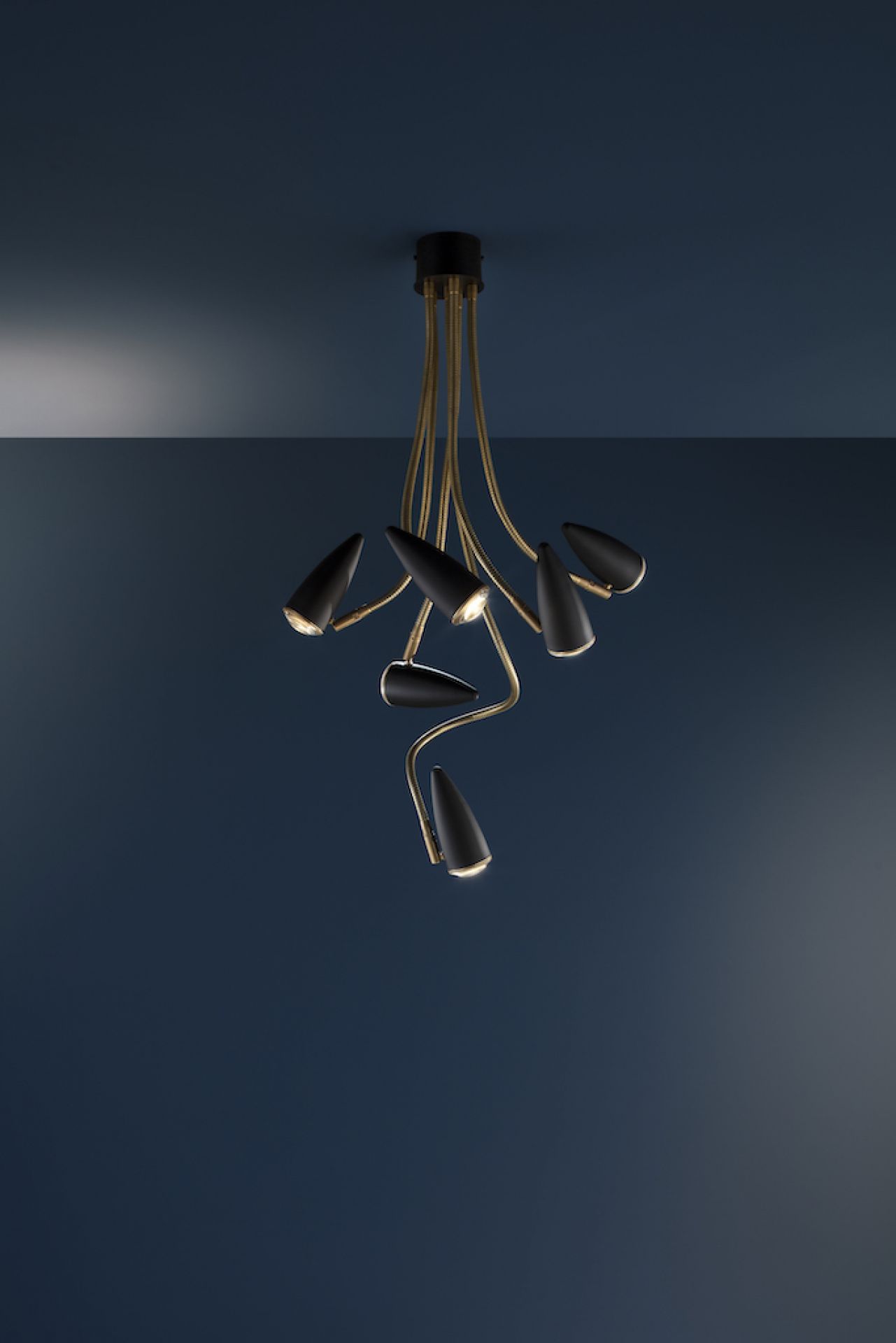 CicloItalia Flex C6 Ceiling Lamp Catellani & Smith