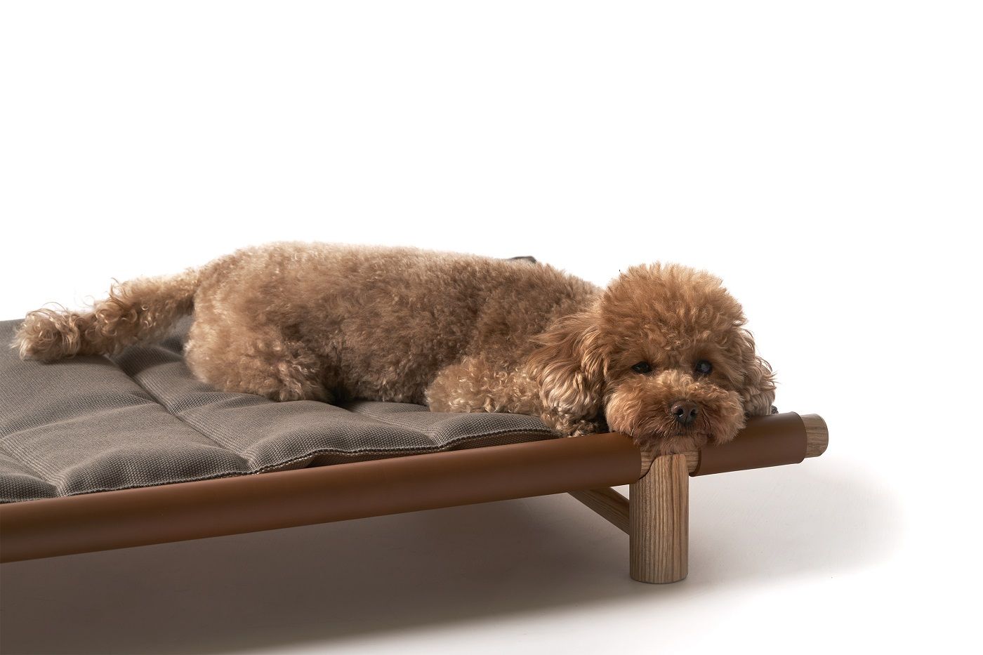Cushion for Berberé Transportable dog bed Opinion Ciatti