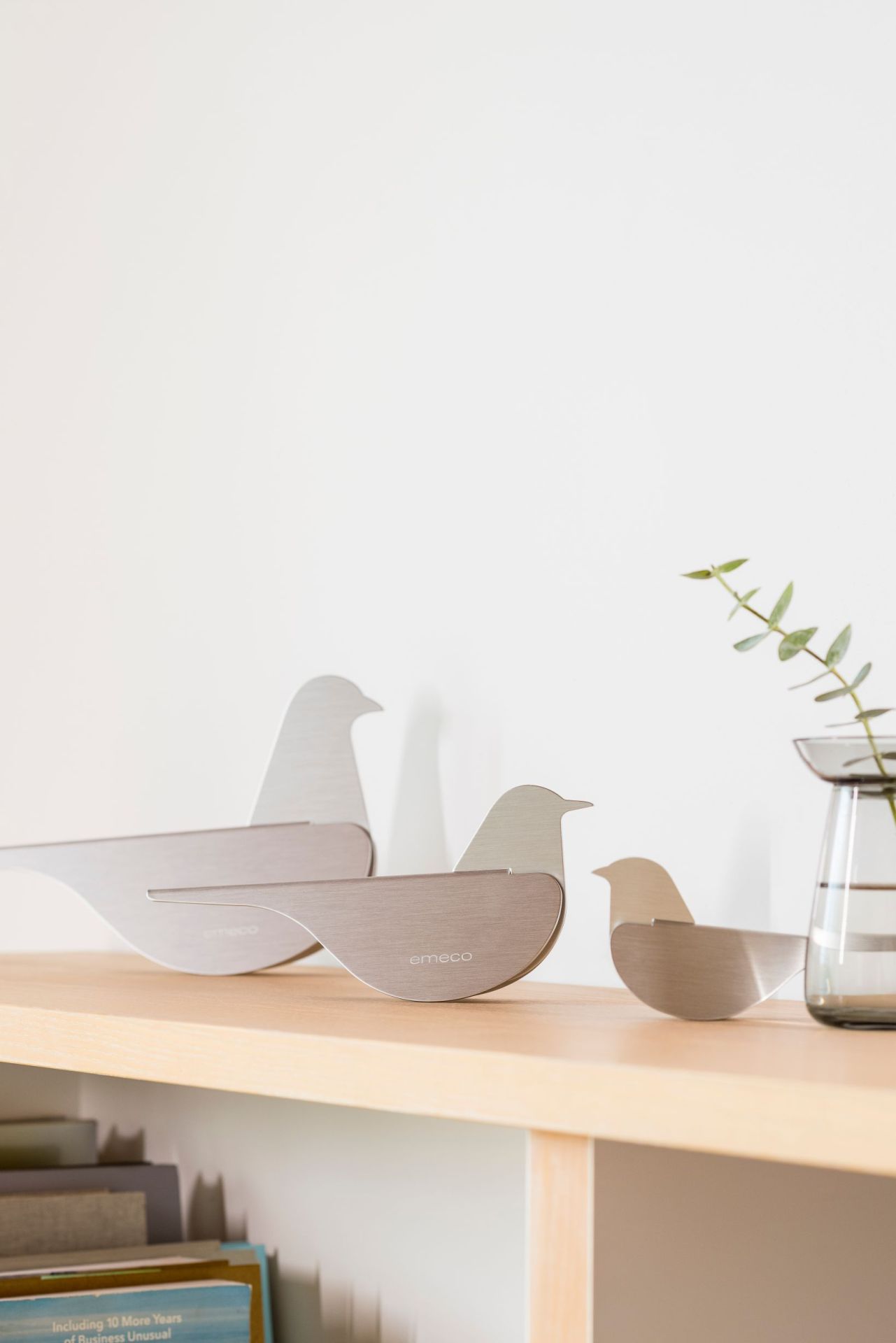 Birds Blackbird Emeco