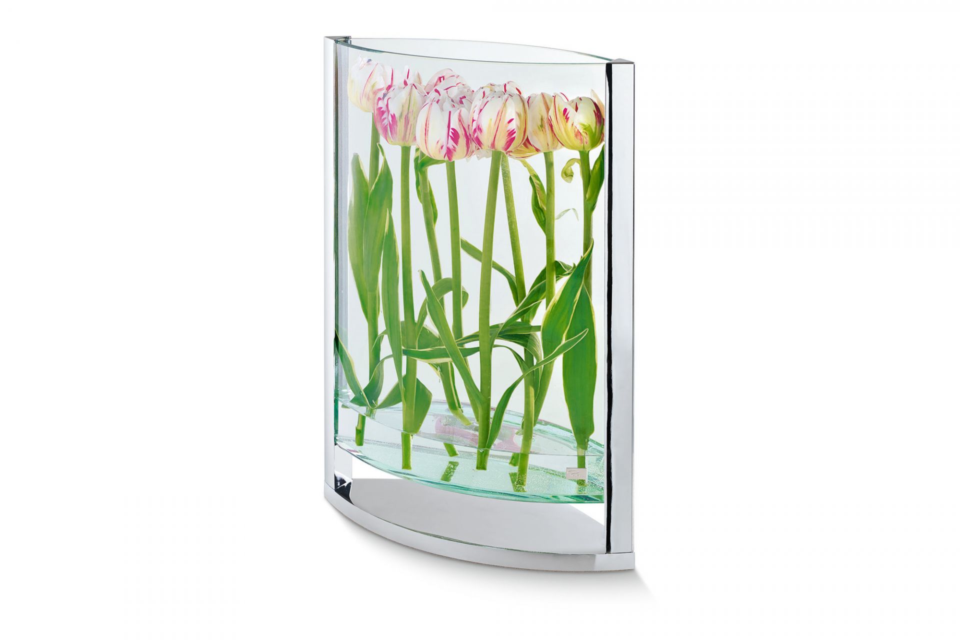 Decade Vase S Philippi