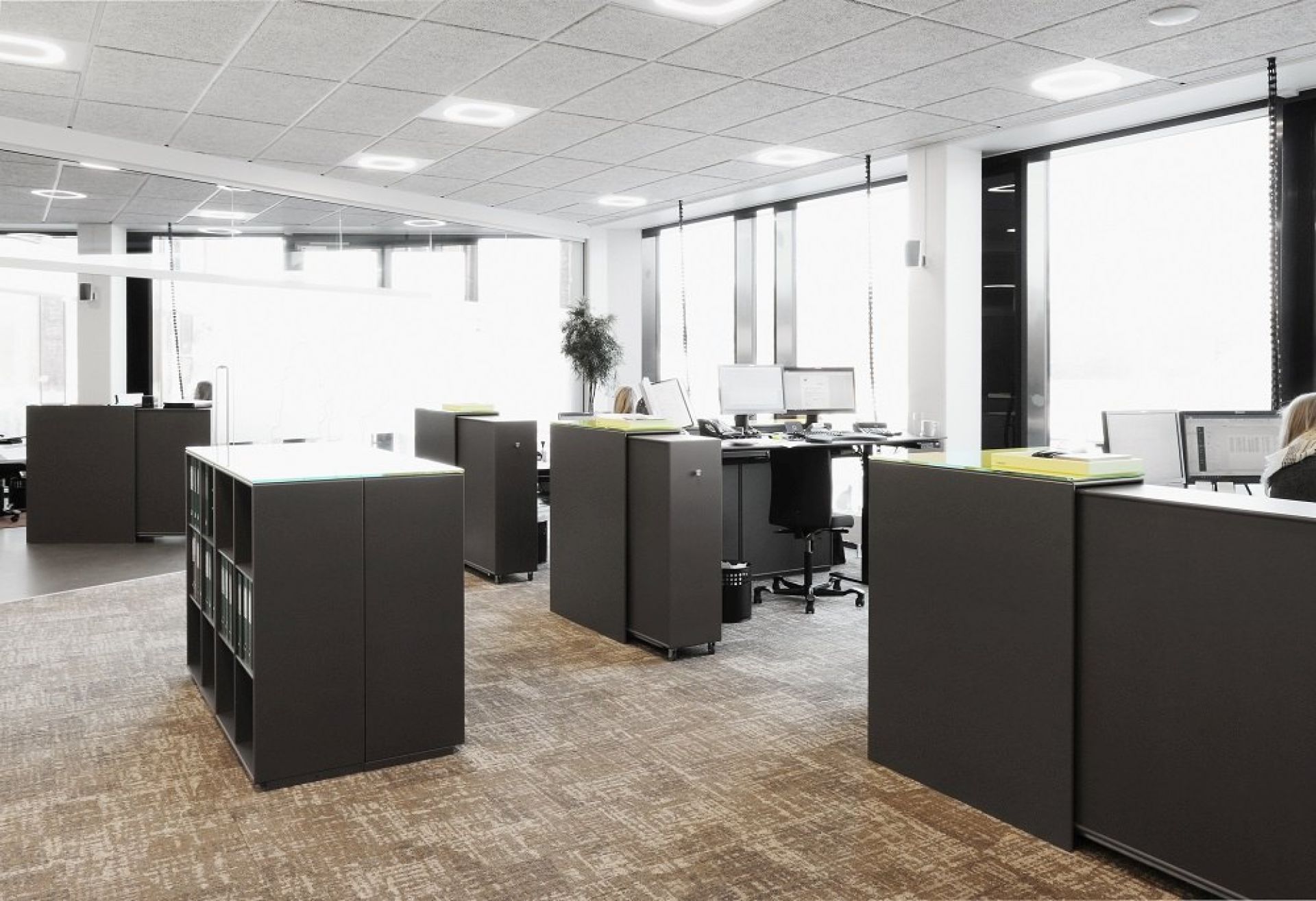 Cargo Modul 80 Cabinet System Montana