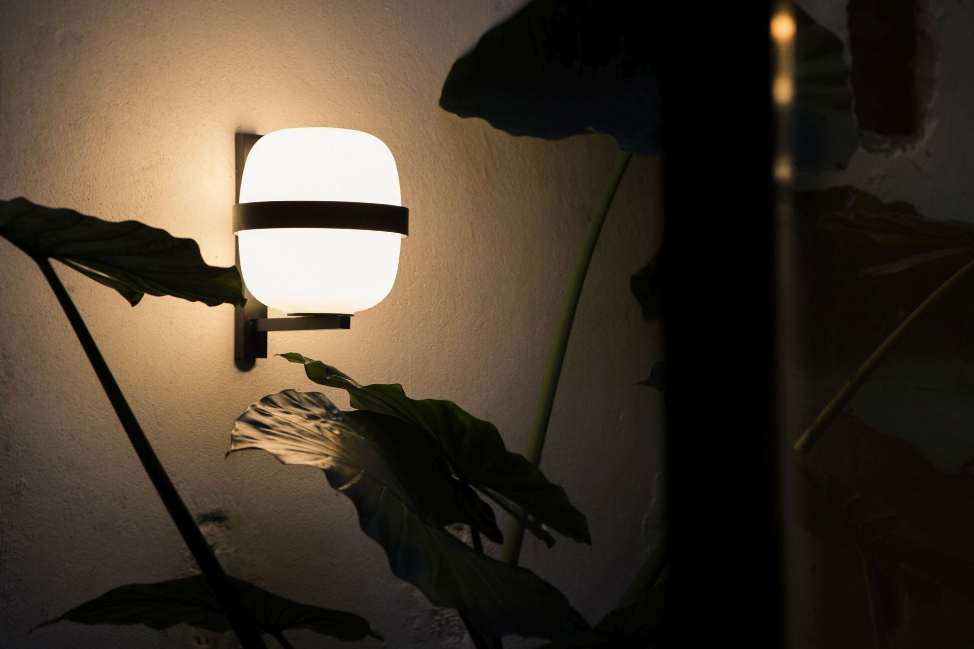 Wally Cestita wall lamp Black Santa & Cole SINGLE PIECES