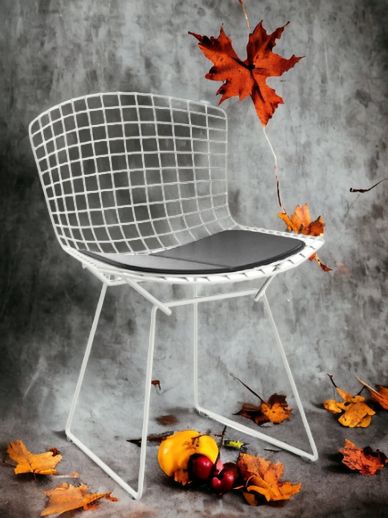 Bertoia chair OUTDOOR Knoll International Quick-Ship