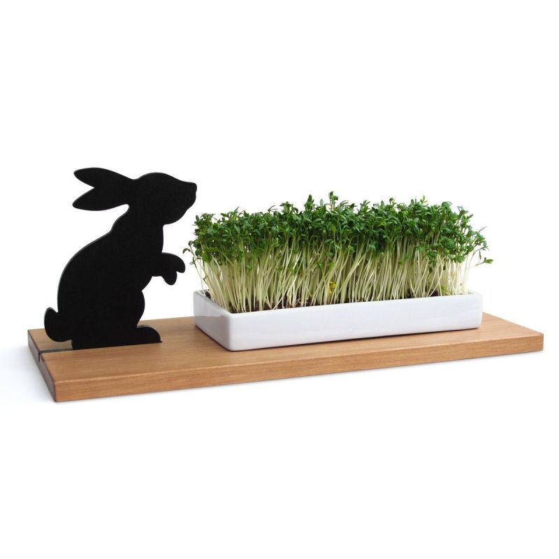 Hase cress dish Side by Side SINGLE PIECES