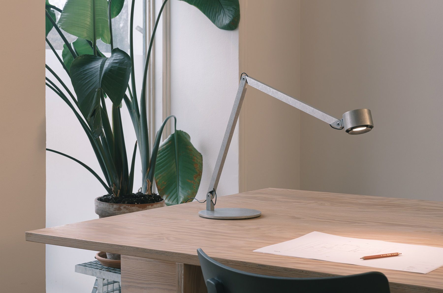 w227 Winkel Tischleuchte von wästberg aus Aluminium auf einem Holztisch mit Pflanze.
