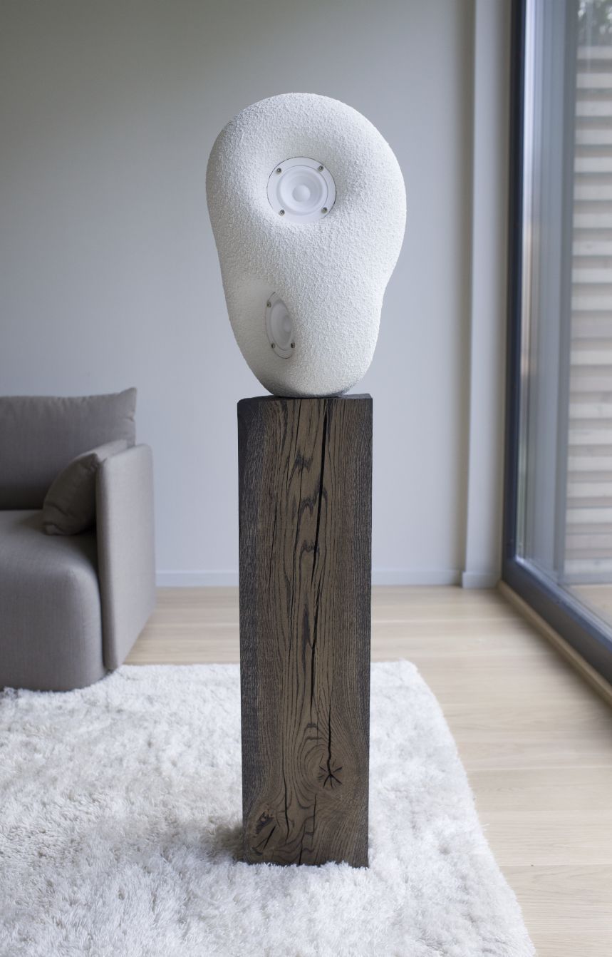 Acoustic sculpture Loudspeaker Transparent