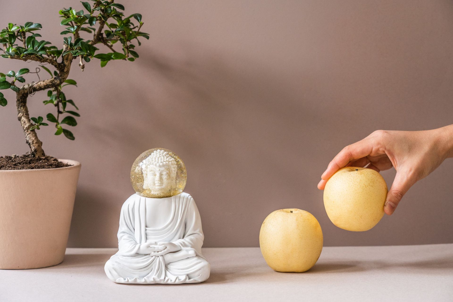 Summerglobe The White Buddha Glitter Bowls Donkey SINGLE PIECES