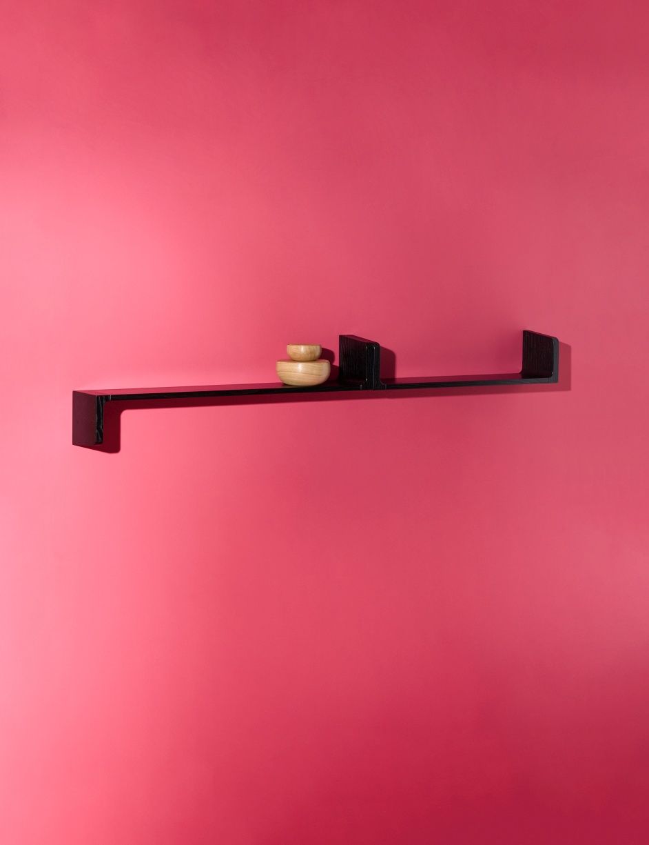 Ulna shelf Schönbuch