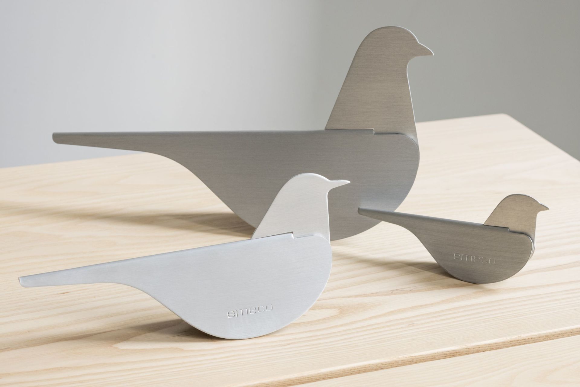Birds Blackbird Emeco