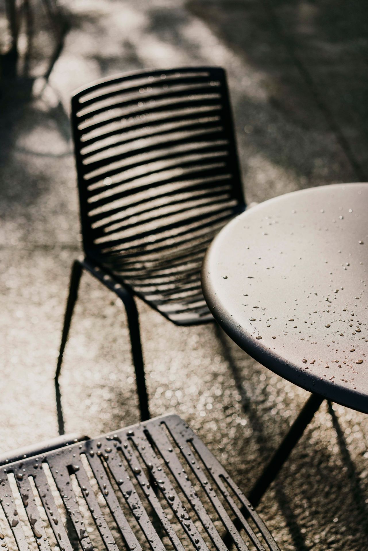 Zebra Outdoor chair Fast